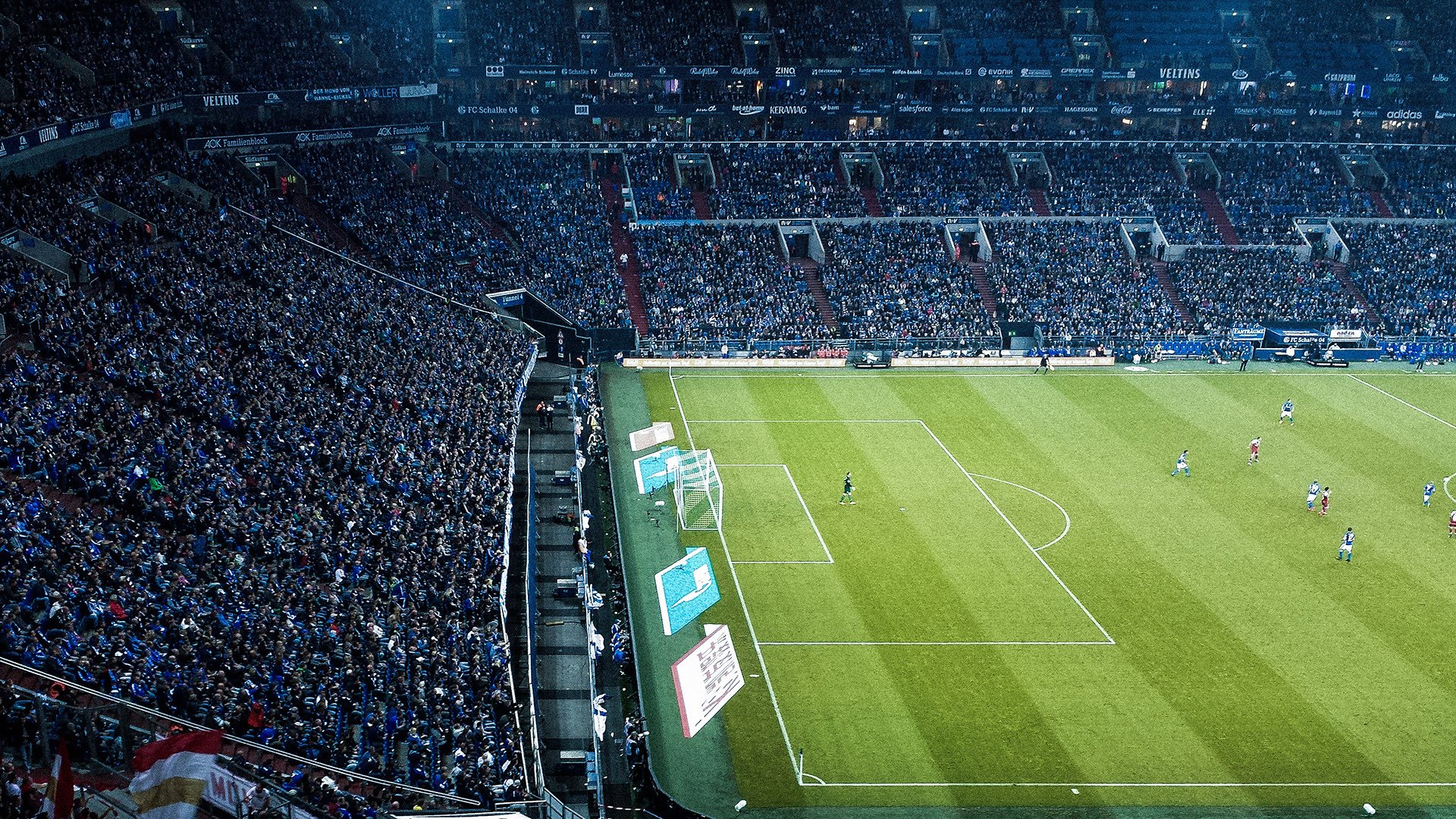 跨界叙事,当森林狼的野性吞噬紫金王朝,而伦纳德在绿茵场完成关键球接管