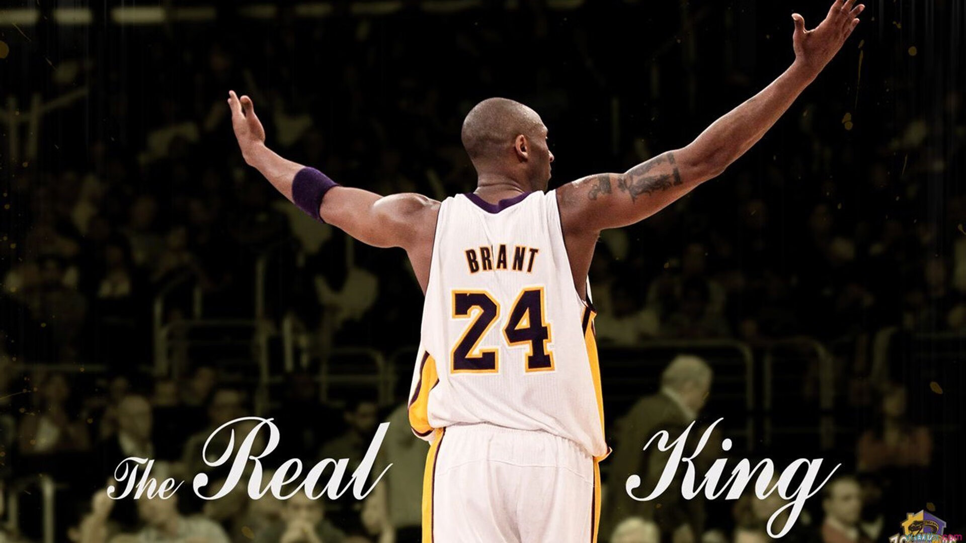 骑士轻取掘金,恩比德扛起全队,一场属于领袖的胜利